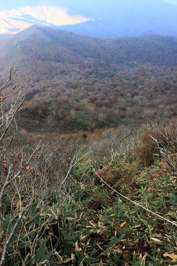 甲子旭岳 バリエーションルート 藪こぎ 急坂 ロープ場