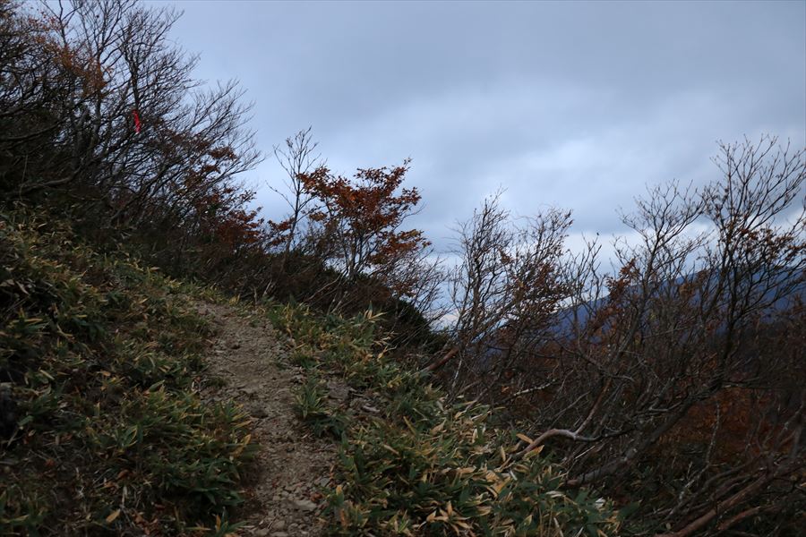 甲子山 登り 登山道 ガス 夕方
