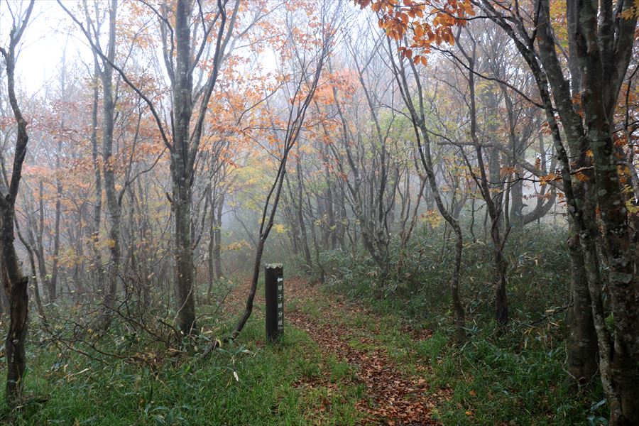 甲子山 甲子峠 ガス 霧 登山道