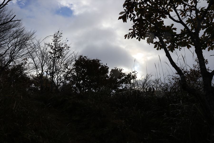 甲子山 甲子峠 青空 曇り 登山道