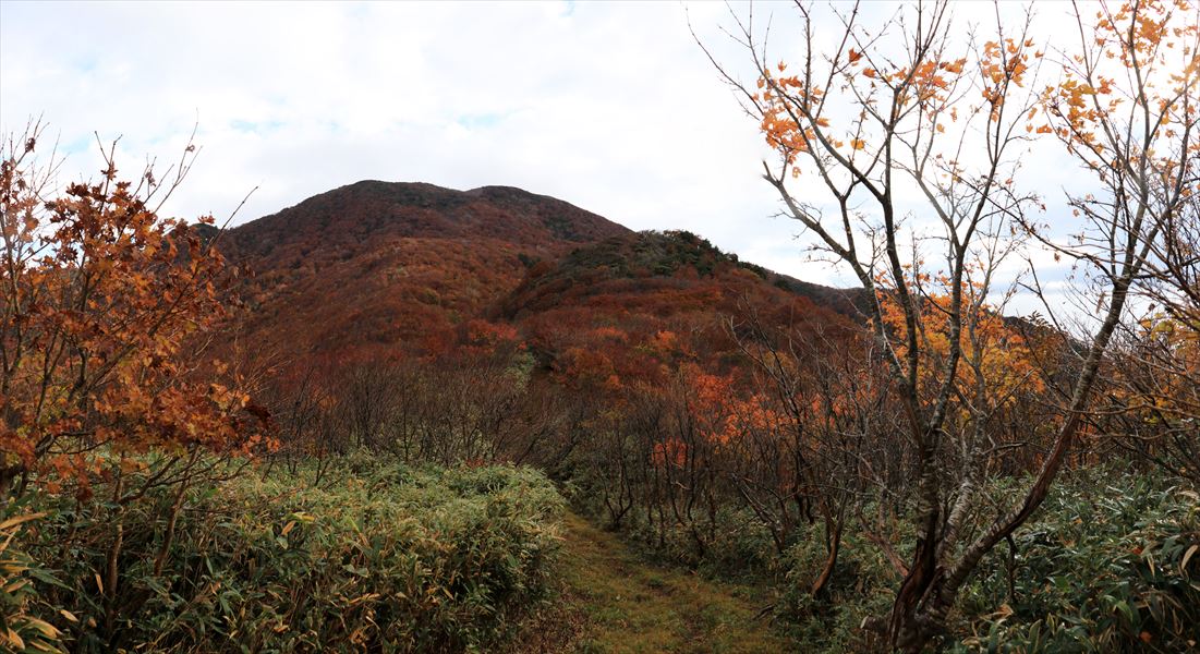 甲子山 甲子峠 登山道 紅葉 アップダウン