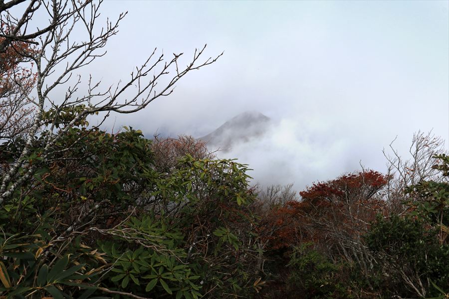 小白森山 山頂直下 展望 二岐温泉 ガス