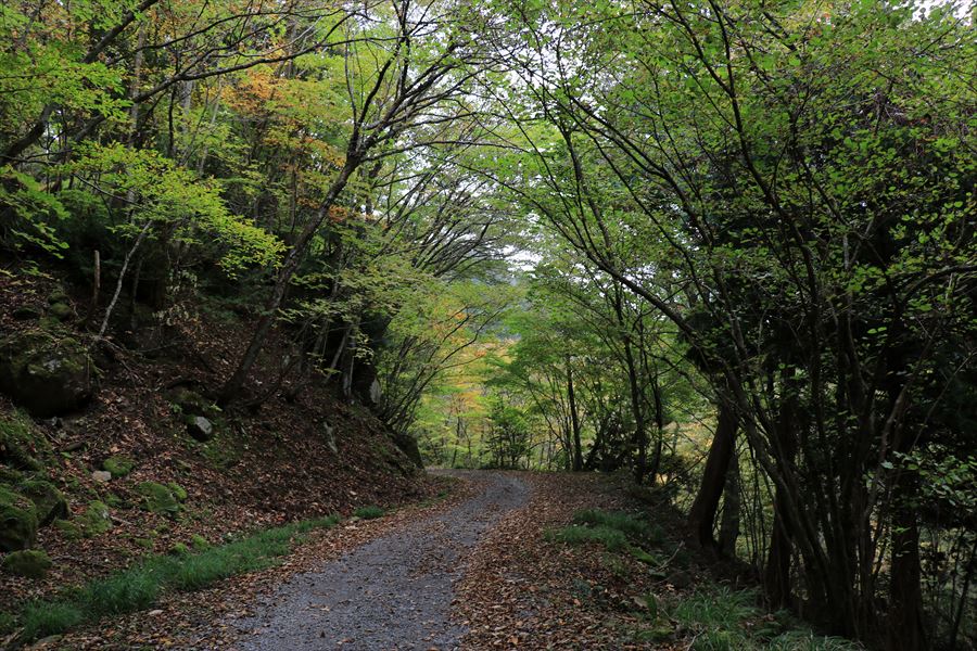 二岐温泉 二岐山 登山口 御鍋神社 林道歩き 砂利道