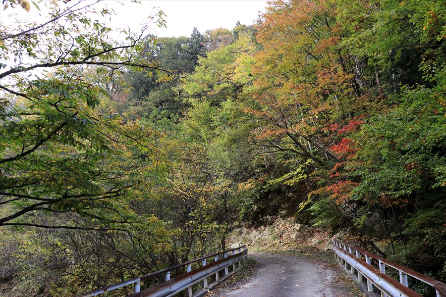 二岐温泉 二岐山 登山口 林道歩き 紅葉 橋の上