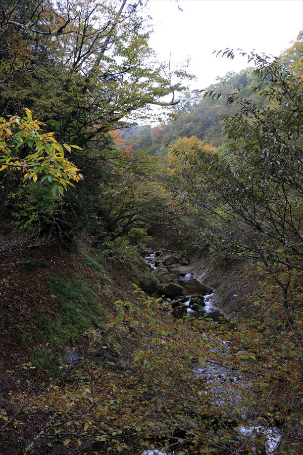 二岐温泉 二岐山 登山口 林道歩き 紅葉 橋の上 展望