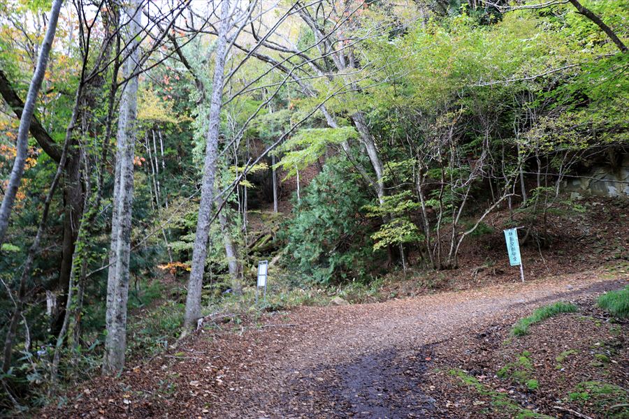 二岐温泉 二岐山 登山口 林道歩き つづら折り