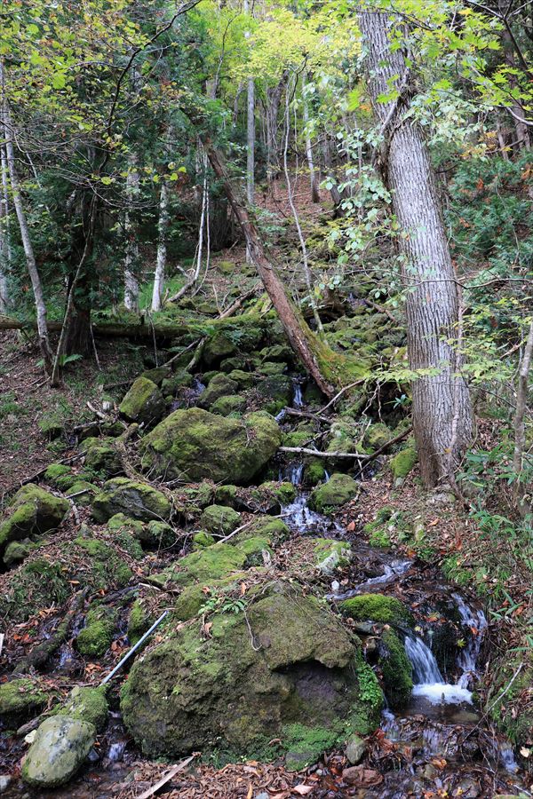 二岐温泉 二岐山 登山口 林道歩き 水場 沢