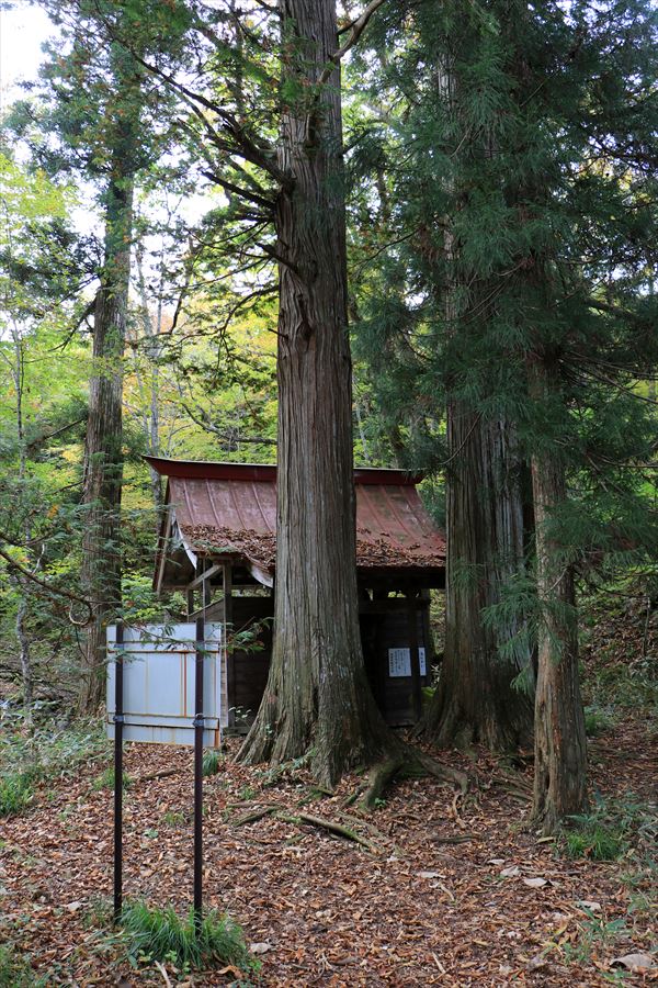 御鍋神社 社殿 境内 御神木 二岐山