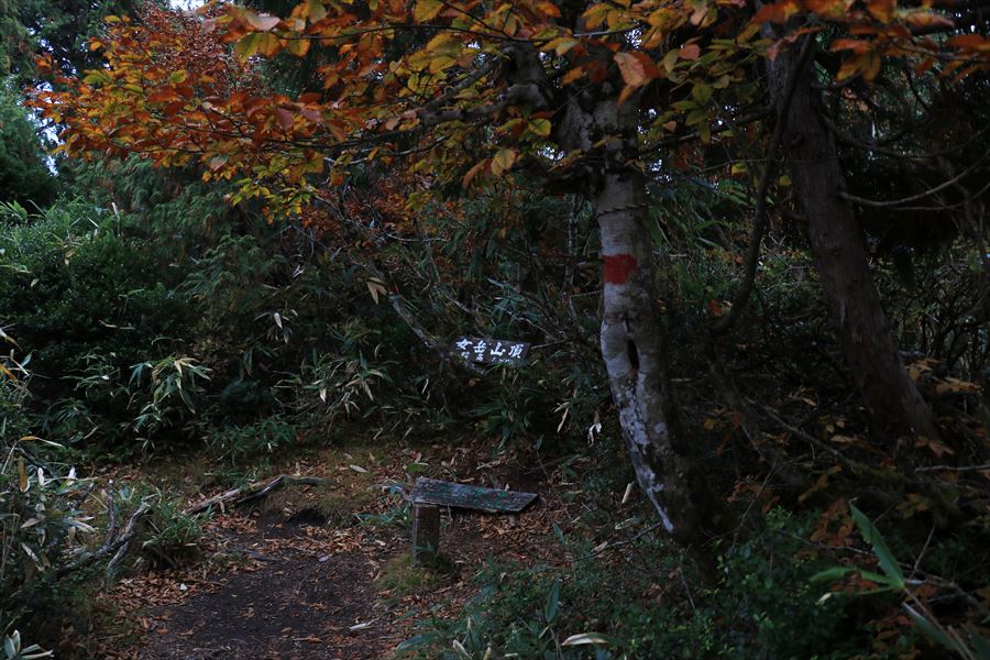 二岐山 女岳 山頂 看板 展望無し 樹林帯