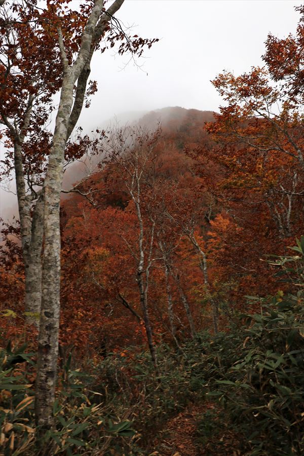 二岐山 男岳 女岳 登山道 ガス 紅葉 日没