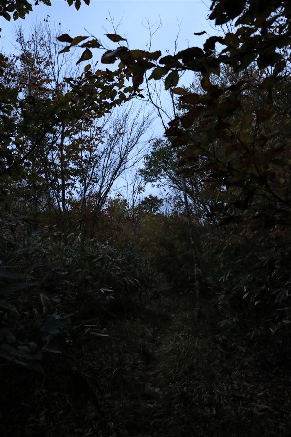 二岐山 男岳坂 登山道 日没