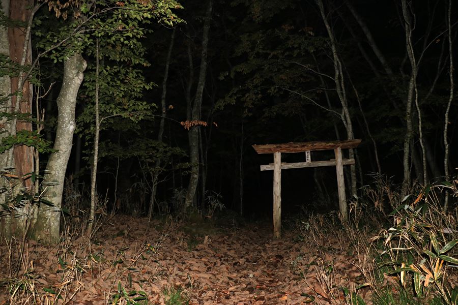 御鍋神社 鳥居 夜 暗闇