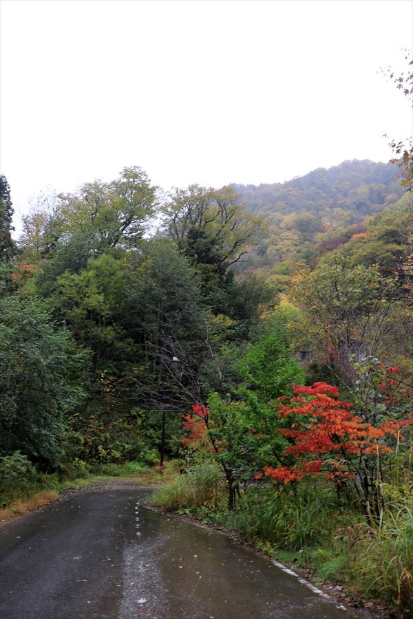 二岐温泉 紅葉 小白森山 登山口 天栄村