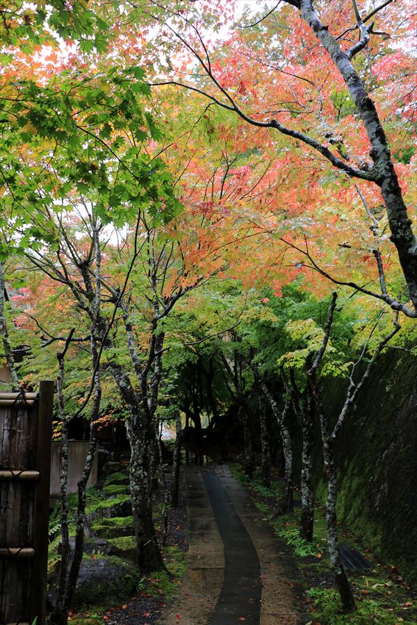 大丸あすなろ荘 入口 紅葉 温泉旅館 二岐温泉 天栄村