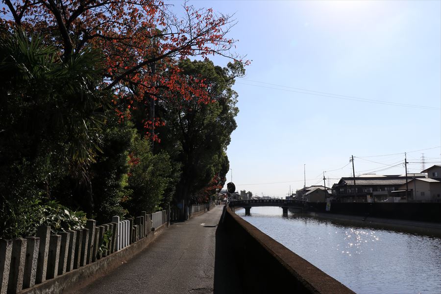 蟹江町 蟹江川 蟹江神明社 風景 紅葉 愛知県