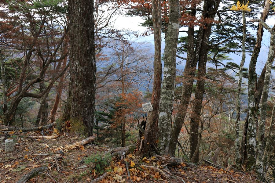 湯谷ノ頭 山頂 台高山脈 縦走 廃道