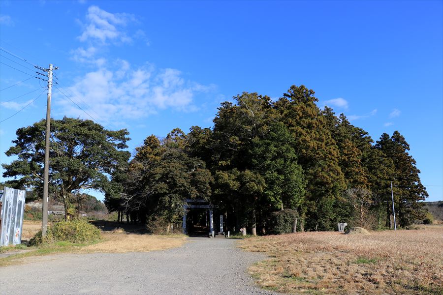 大原神社 田んぼ 森 君津市 平山駅 久留里線