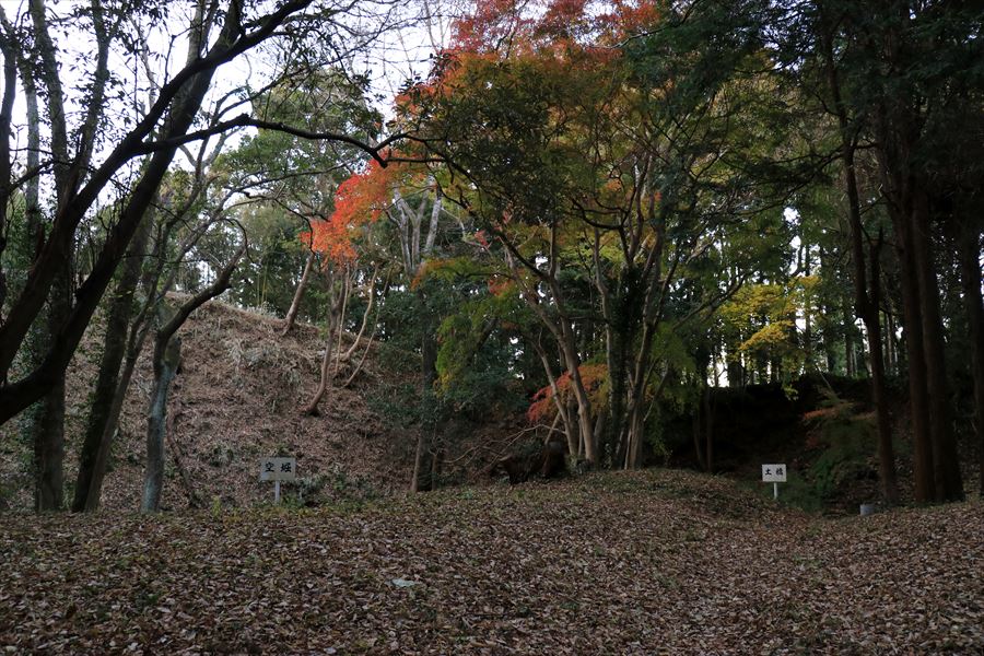 佐貫城 空堀 土橋 富津市 千葉県