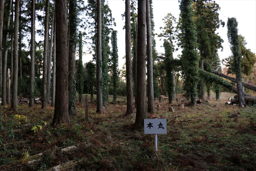 佐貫城 本丸 富津市 千葉県