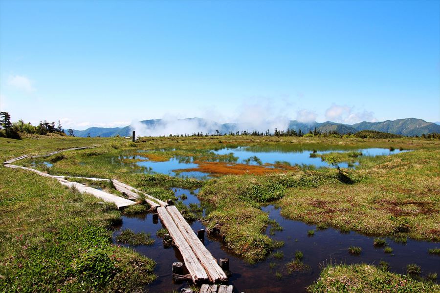 苗場山 山頂 湿原 池塘 木道 登山