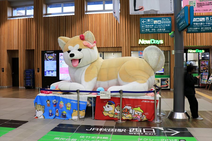秋田系 秋田県 ぬいぐるみ バルーン 巨大