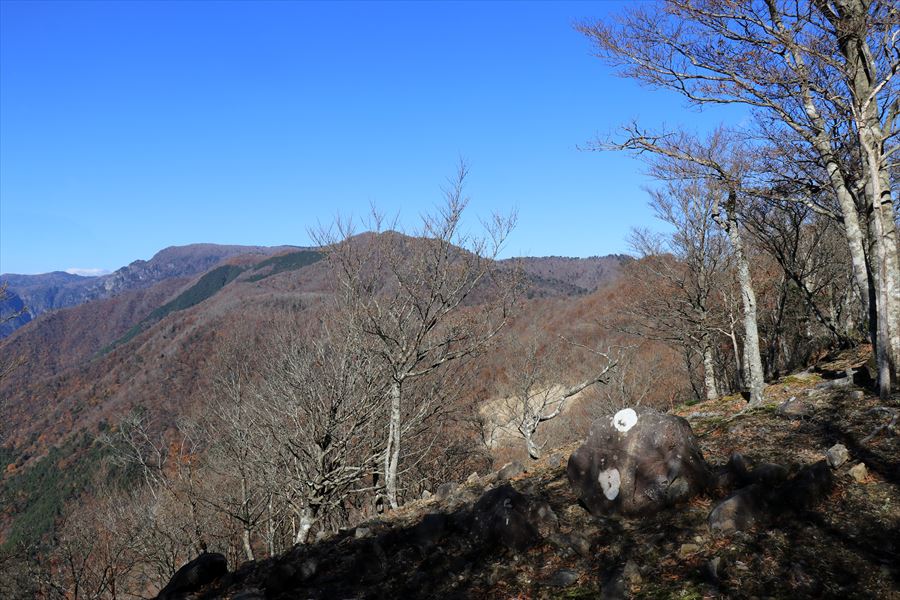 新木組峠 マブシ嶺 展望 台高山脈 尾鷲道