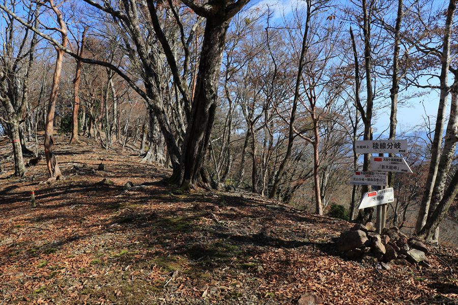 木組峠 樹林帯 道標 台高山脈 尾鷲道