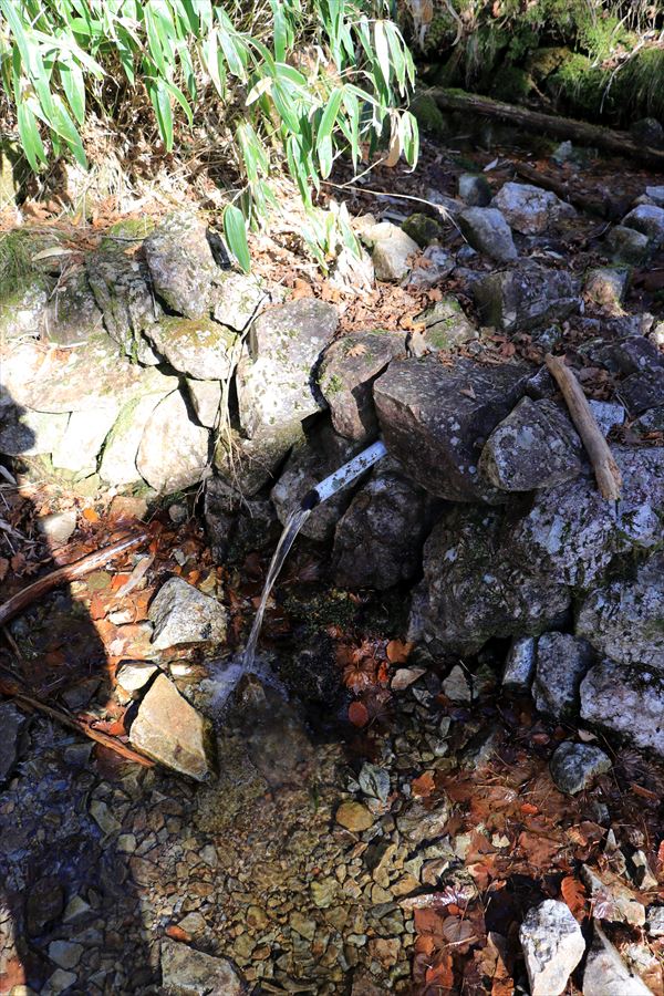 大台ヶ原 日出ヶ岳 水場 トラバース路