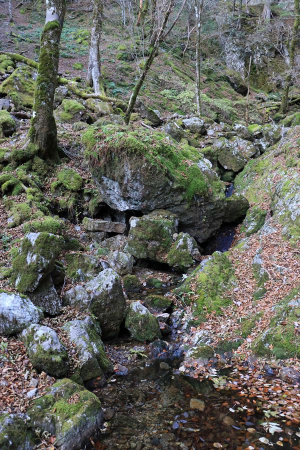 筏場道 水場 小沢 登山道 台高山脈 大台ヶ原