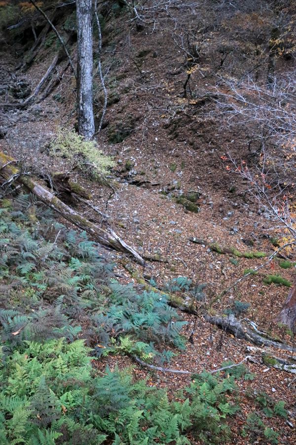 三之公雨量観測所 水場 下降点 台高山脈 行き方