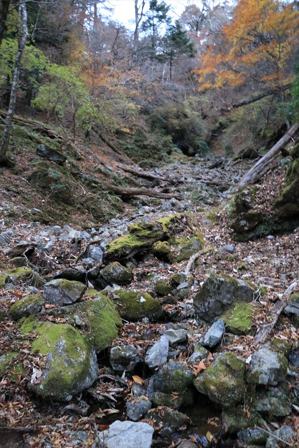 三之公雨量観測所 水場 小沢 台高山脈 行き方
