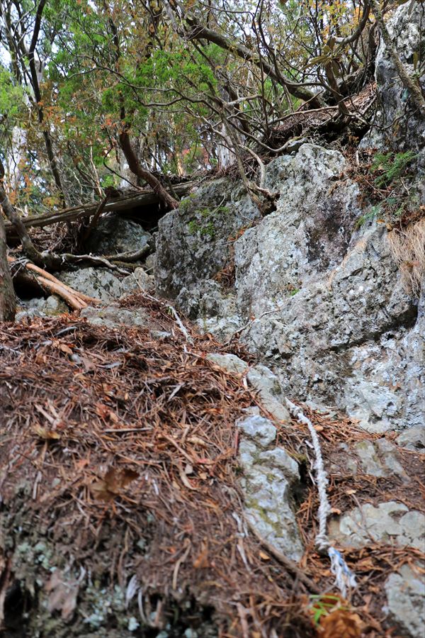 山ノ神ノ頭 急登 ロープ 台高山脈 登山