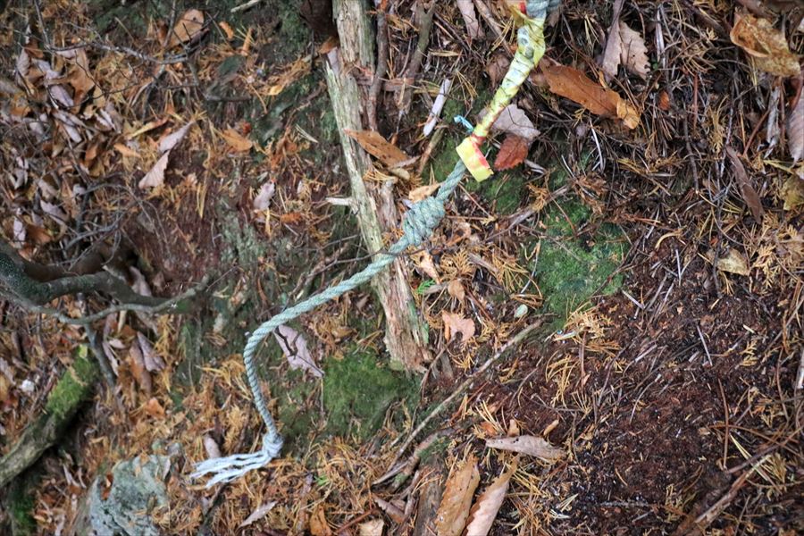 補助ロープ 千切れた 馬ノ鞍峰 台高山脈 難路