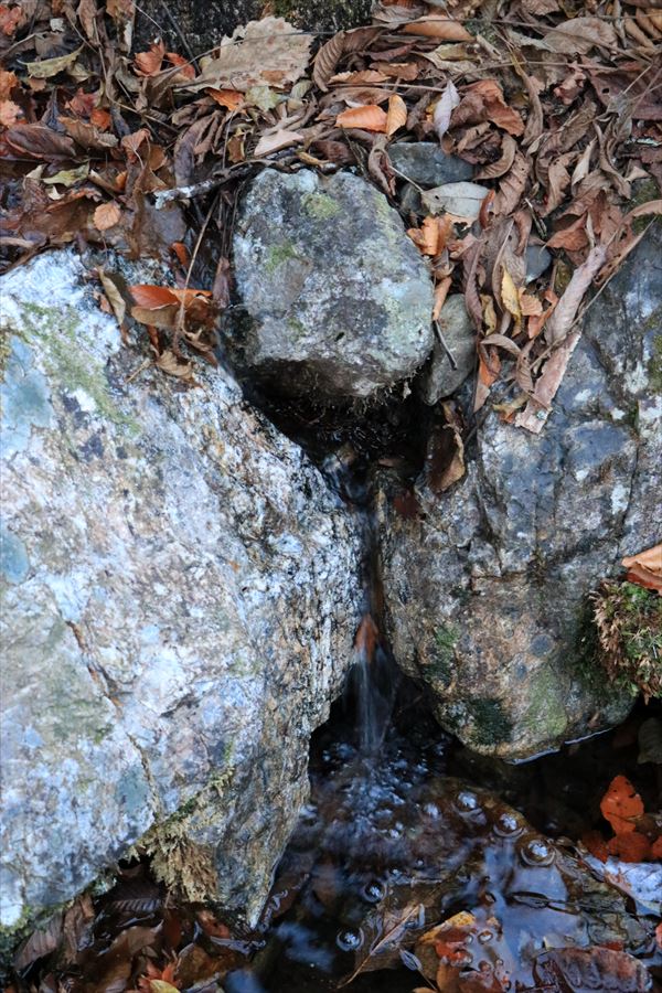 千石山 鞍部 水場 水量 小沢 台高山脈 登山