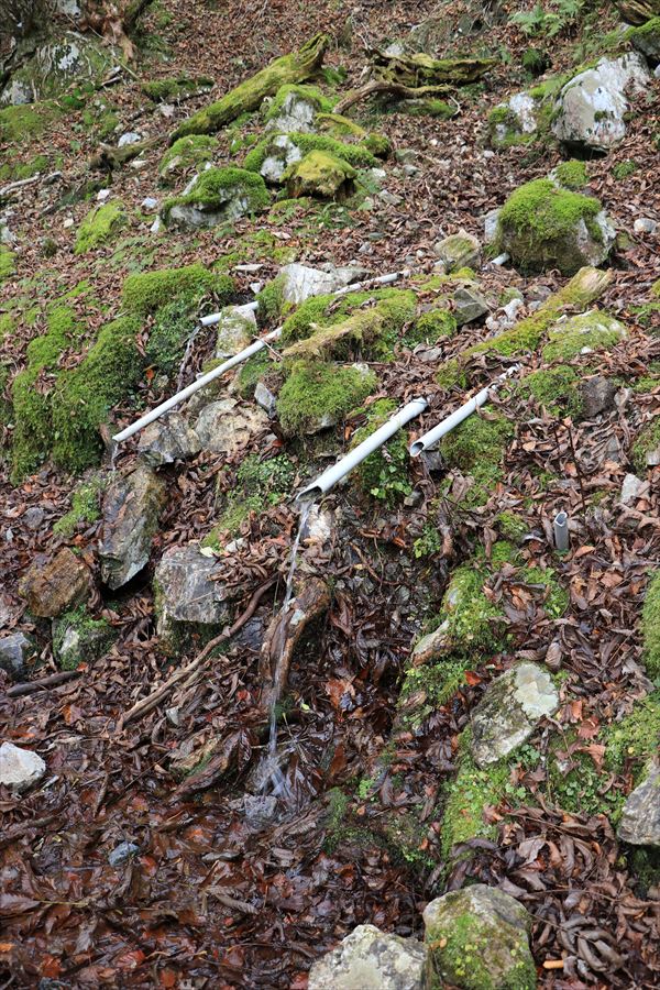 明神平 水場 パイプ 台高山脈