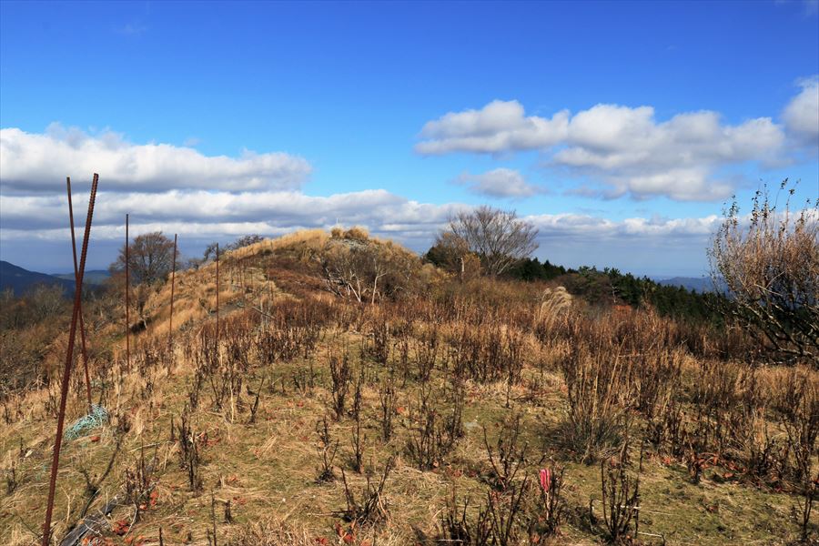 学能堂山 展望地 三峰山 北尾根 登山道 台高山脈