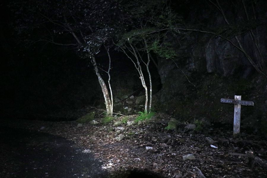 尾鷲道 夜中 未明 林道歩き