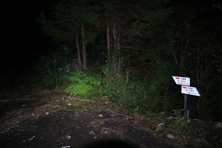 木津道 看板 尾鷲道 夜中 林道歩き