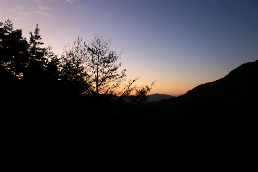 未明 夜明け 木津道 尾鷲道 マジックアワー