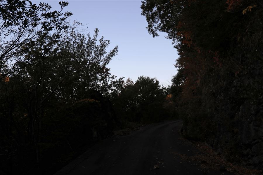 尾鷲道 木津道 未明 早朝 林道歩き 舗装路