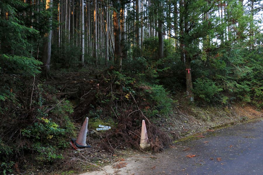 橡山 登山口 水無峠 台高山脈