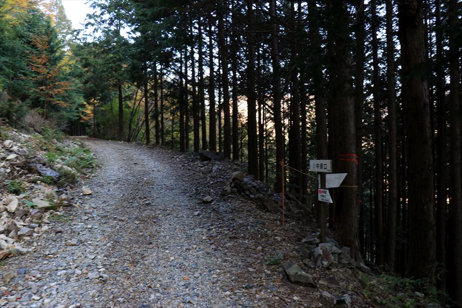 橡山 登山口 林道 水無峠 台高山脈