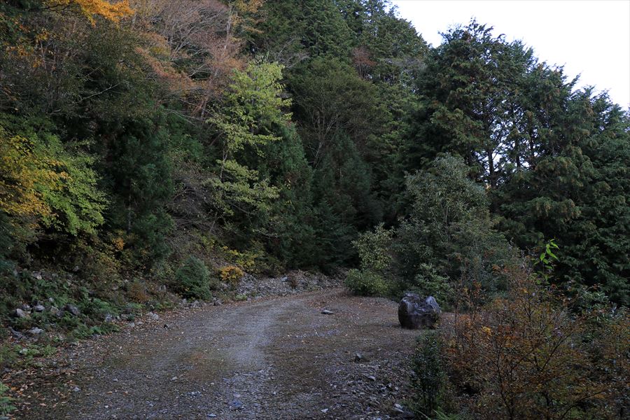 橡山 林道 広場 尾鷲道