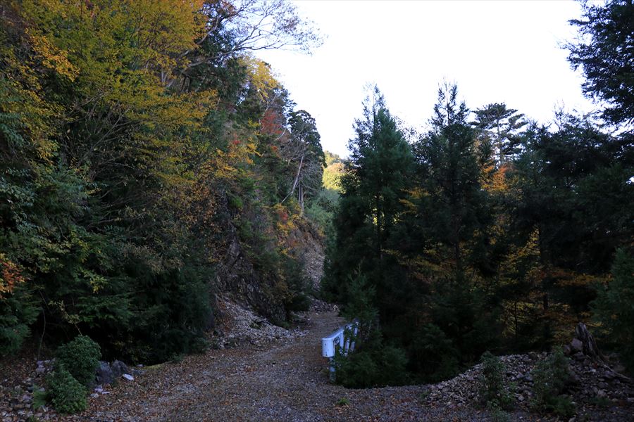 橡山 林道 徒歩 尾鷲道 台高山脈
