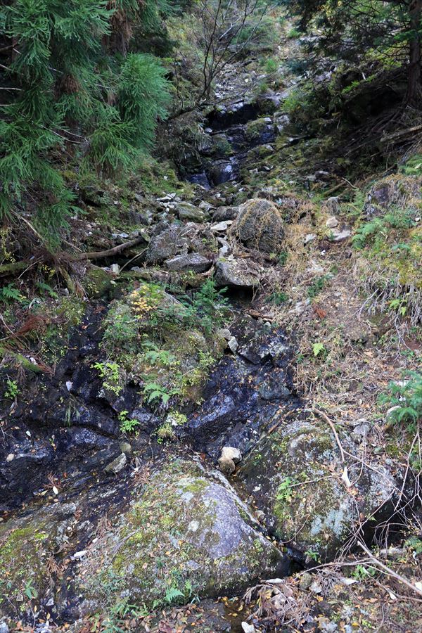 橡山 林道 水場 尾鷲道 台高山脈