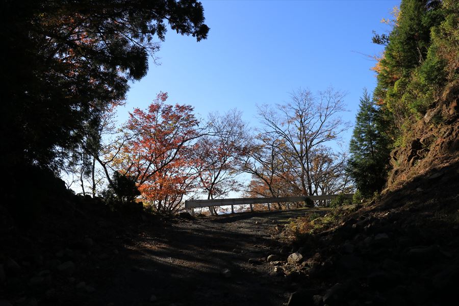 橡山 林道 地蔵峠 快晴 尾鷲道