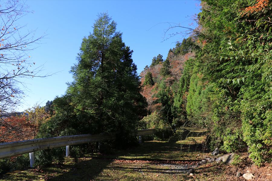 橡山 林道 雰囲気 地蔵峠 快晴 尾鷲道
