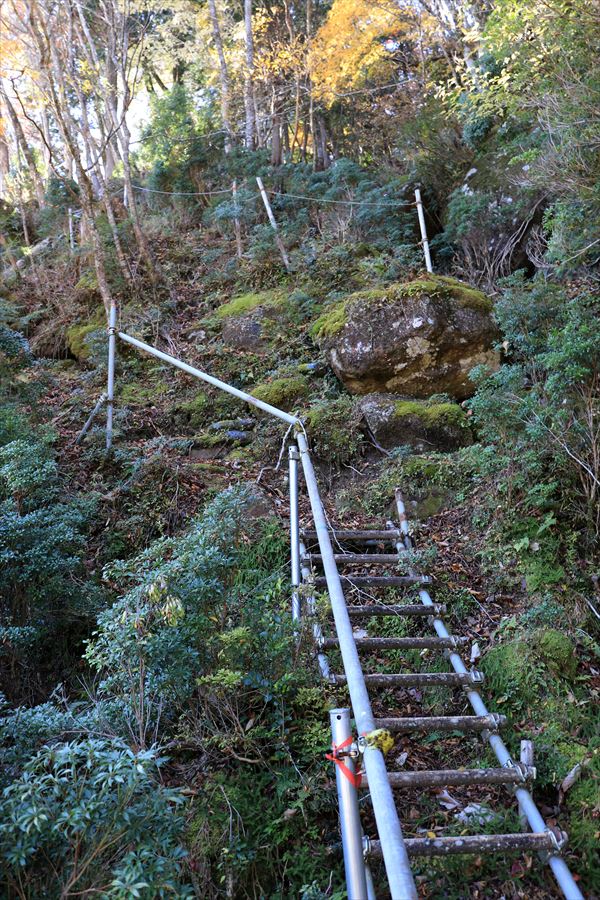 地蔵峠 登山道 階段 急坂 尾鷲道 台高山脈