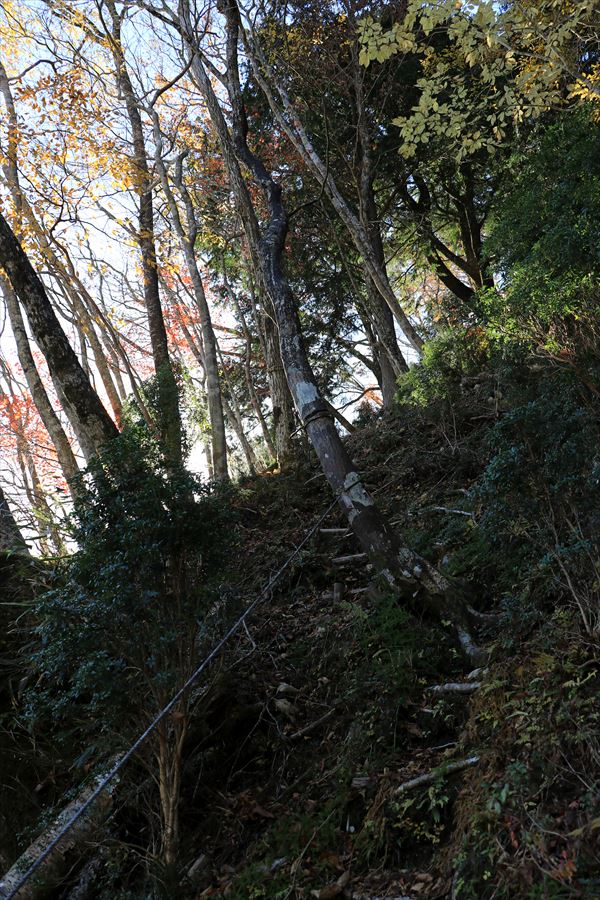 地蔵峠 登山道 トラバース 尾鷲道 台高山脈