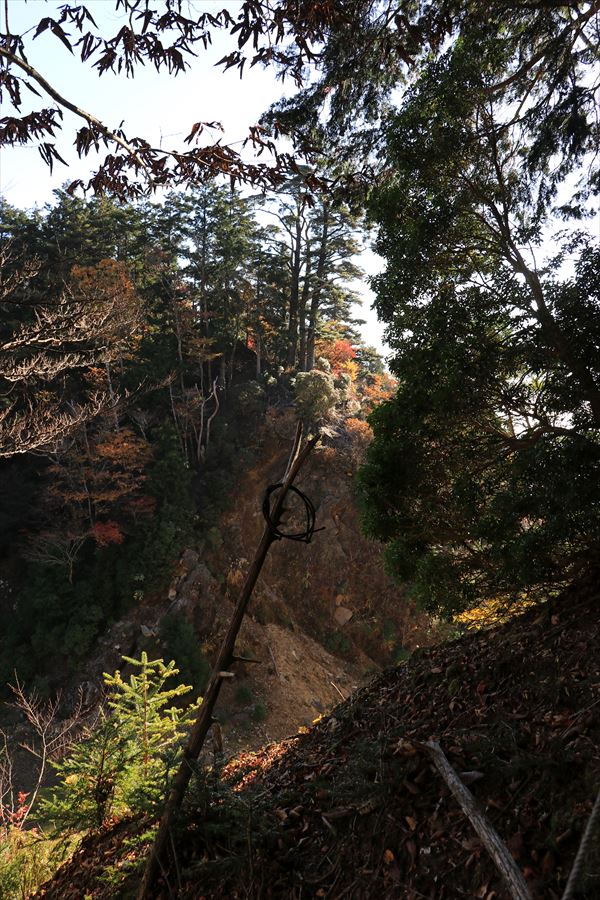地蔵峠 上部 尾鷲道 台高山脈